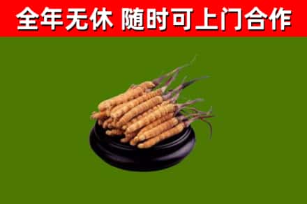 凯里市烟酒回收冬虫夏草.jpg
