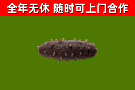 凯里市烟酒回收干海参.jpg